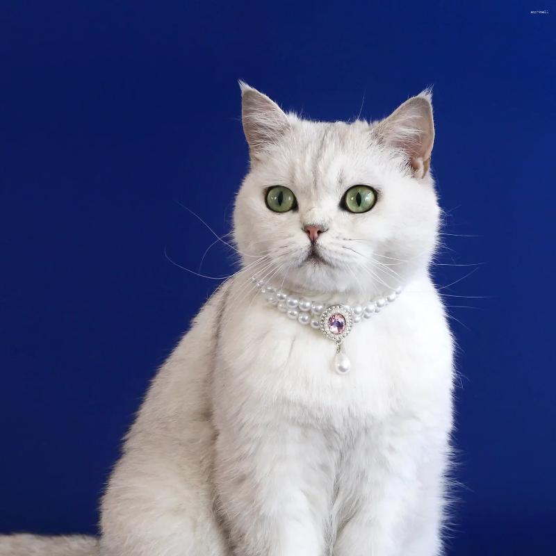 Update 20Pcs/Lot Double Pearl Pet Necklace Maltese Puppy Colored Gemstone Pendant Princess Cat Collar