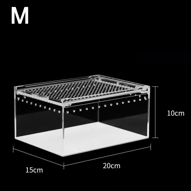 Acrylic Reptile Terrarium, Transparent Habitat for Snakes, Frogs, Turtles, Snails and Beetles, Stylish Small Animal Enclosure