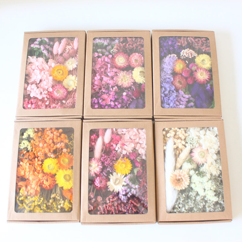 Dried Flower Craft Kit DIY Creative Handmade Decorations for Home Dried Flowers, Natural Plants, Real Flowers, Leaves