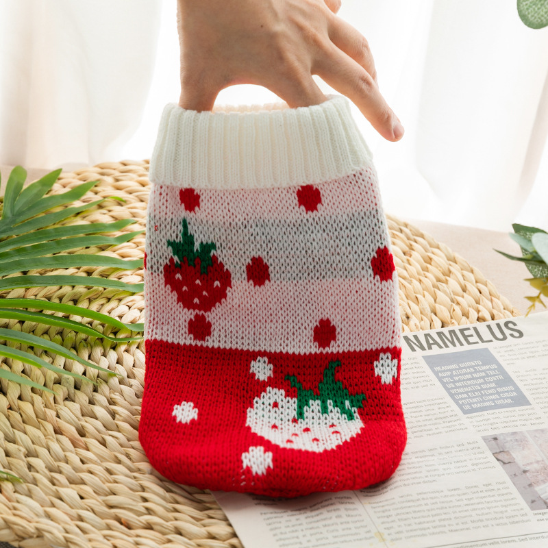 Premium Pet Clothing Collection Featuring Stylish Knitted Jackets