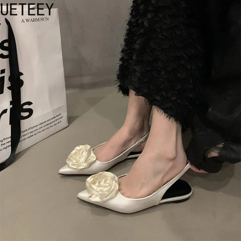 Summer Flower Womens Sandals Fashion Pointed Toe Singbacks Shoes Womens Elegant Striptease Party Apartment Sandals 250411