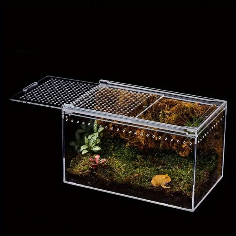 Acrylic Reptile Terrarium, Transparent Habitat for Snakes, Frogs, Turtles, Snails and Beetles, Stylish Small Animal Enclosure