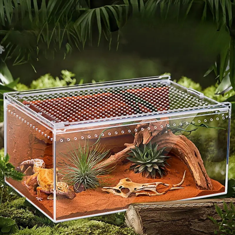 Acrylic Reptile Terrarium, Transparent Habitat for Snakes, Frogs, Turtles, Snails and Beetles, Stylish Small Animal Enclosure