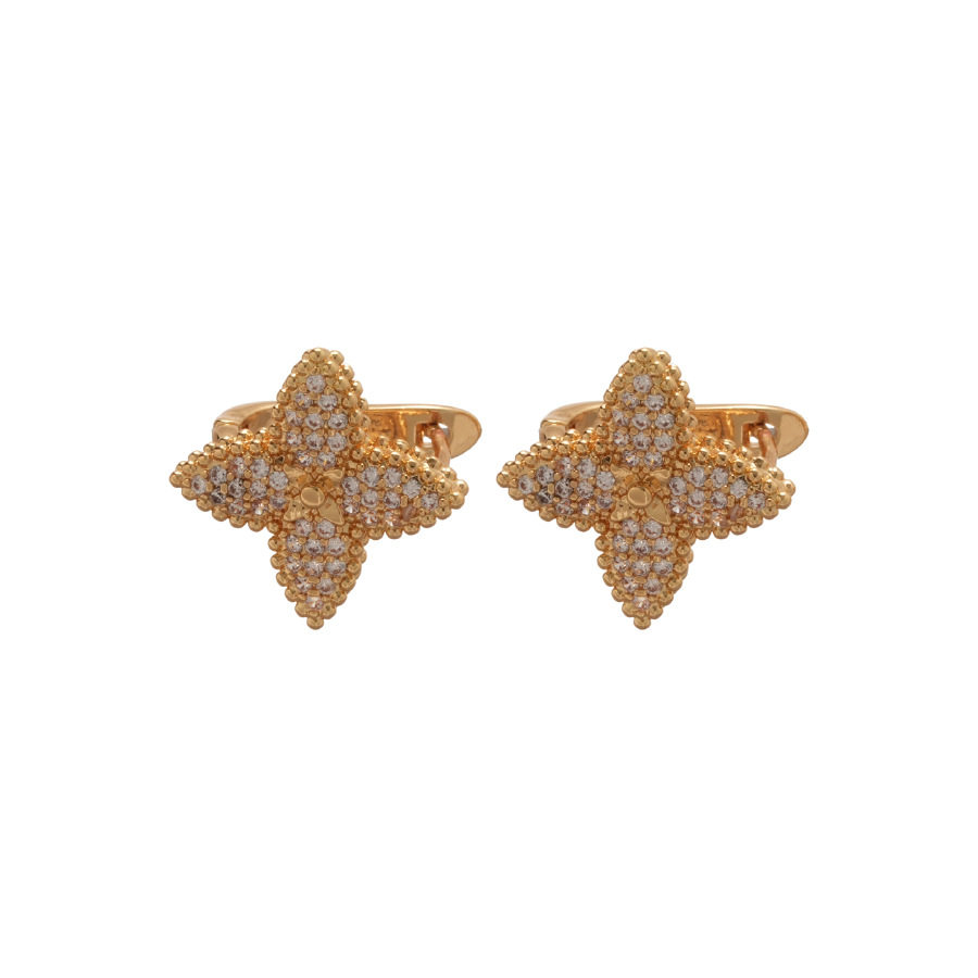 2025 New Zircon Star Exquisite Elegant Daily Commute Versatile Light Luxury High-end Feel Women's Earrings - view 9