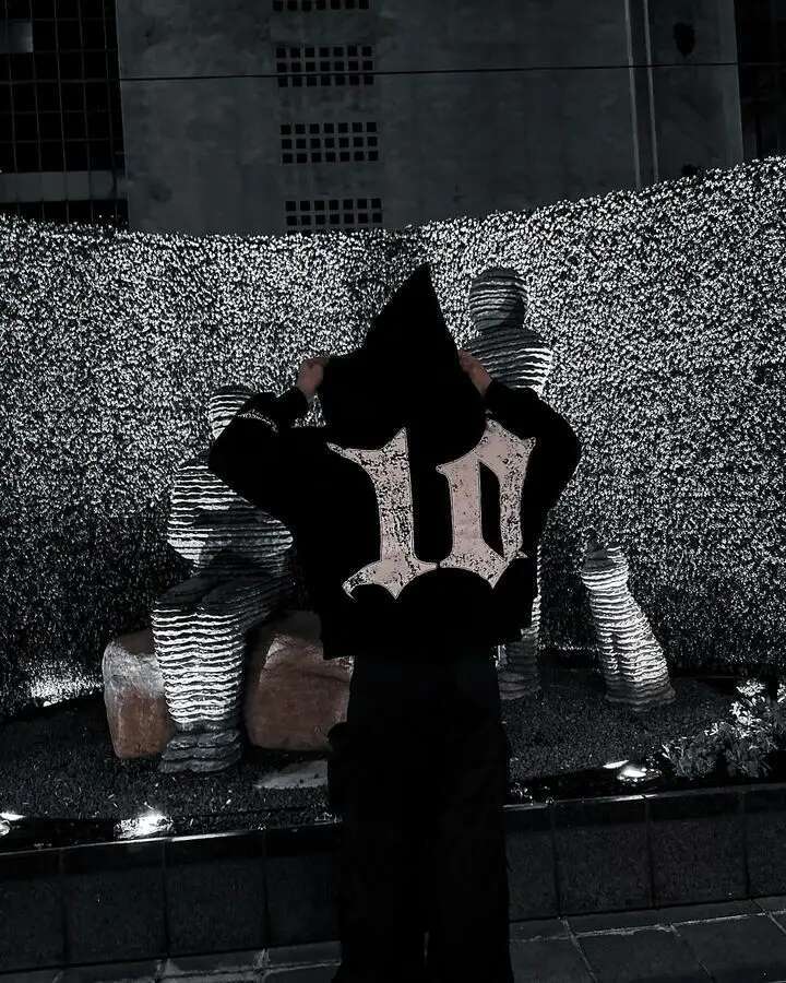 Streetwear Zip Up Men Women Y2K Clothing Haruku Gothic Patchwork Embroidered Oversized Hoodies Retro Black Sweatshirts