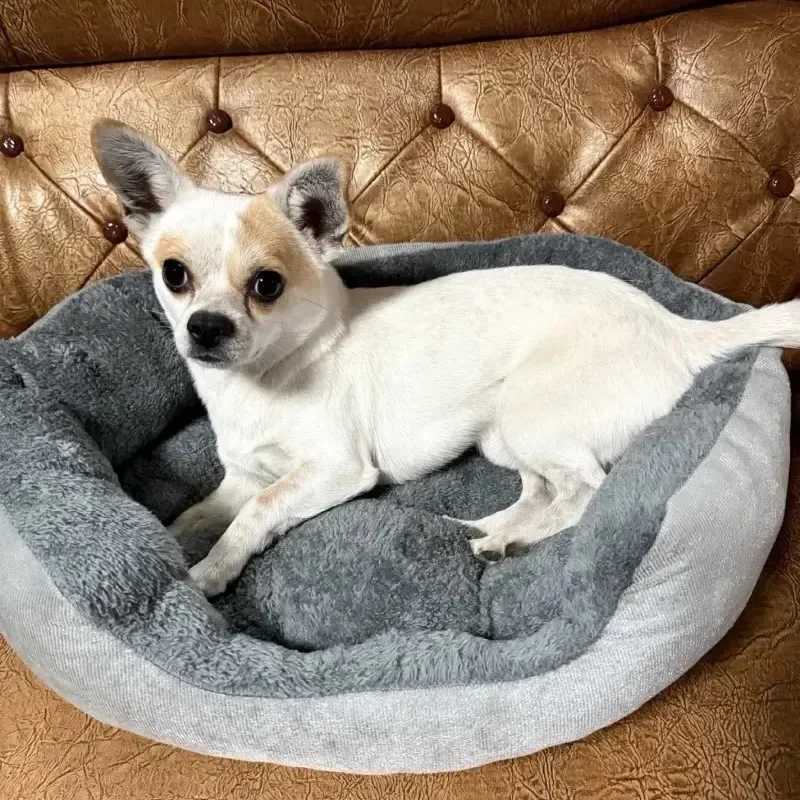 Soft and warm dog bed pet basket cat house sofa for medium and large dog beds sofa cushion dog bed pet supplies X250412