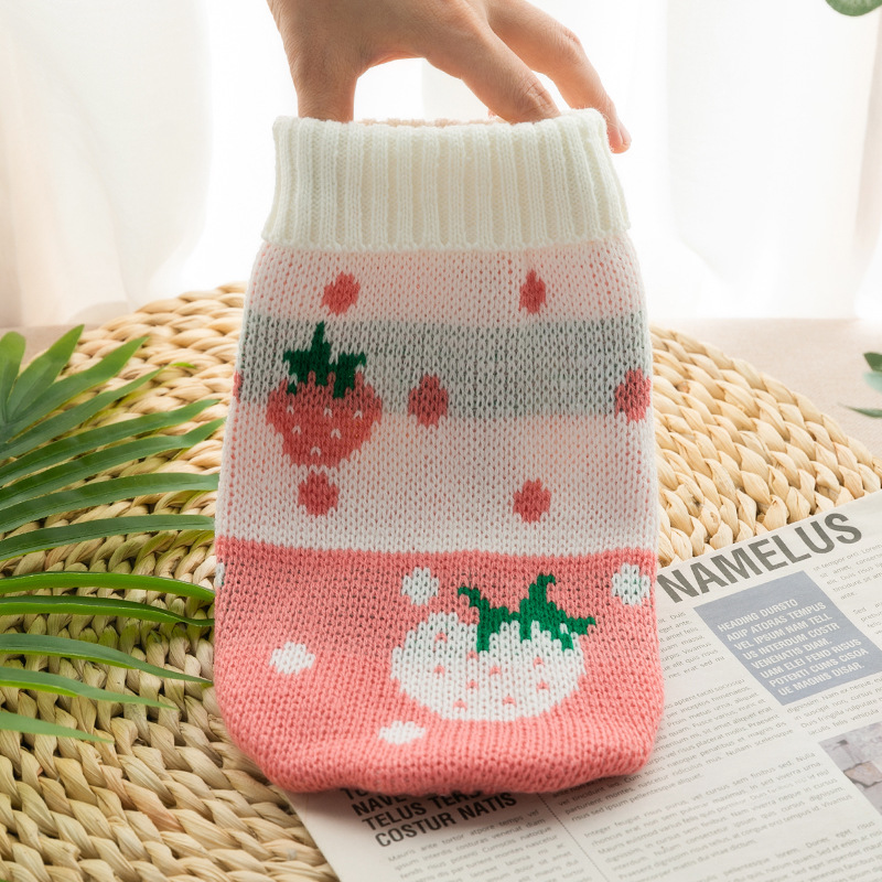 Premium Pet Clothing Collection Featuring Stylish Knitted Jackets