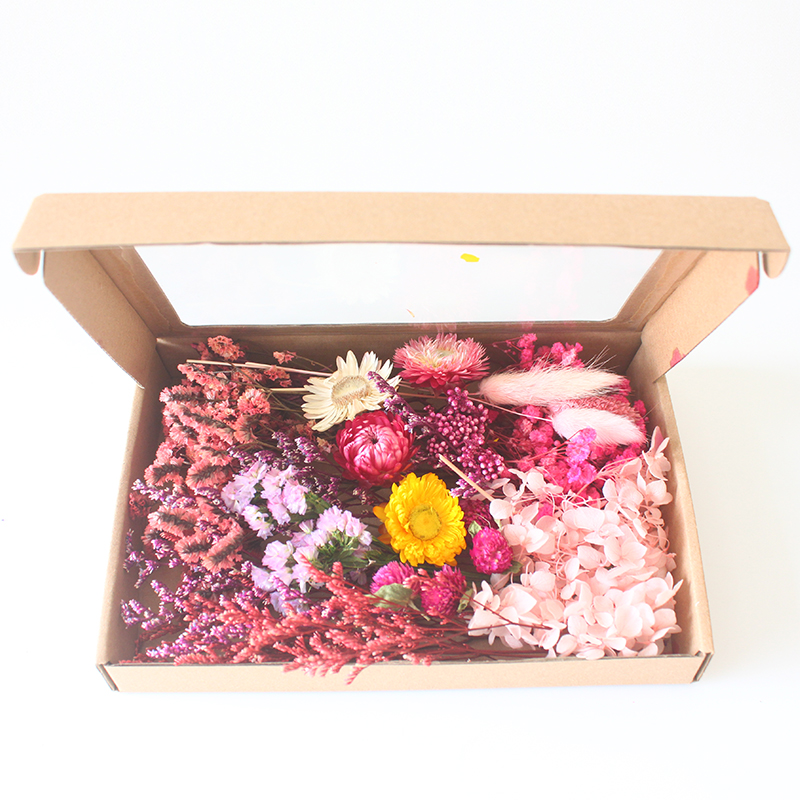 Dried Flower Craft Kit DIY Creative Handmade Decorations for Home Dried Flowers, Natural Plants, Real Flowers, Leaves