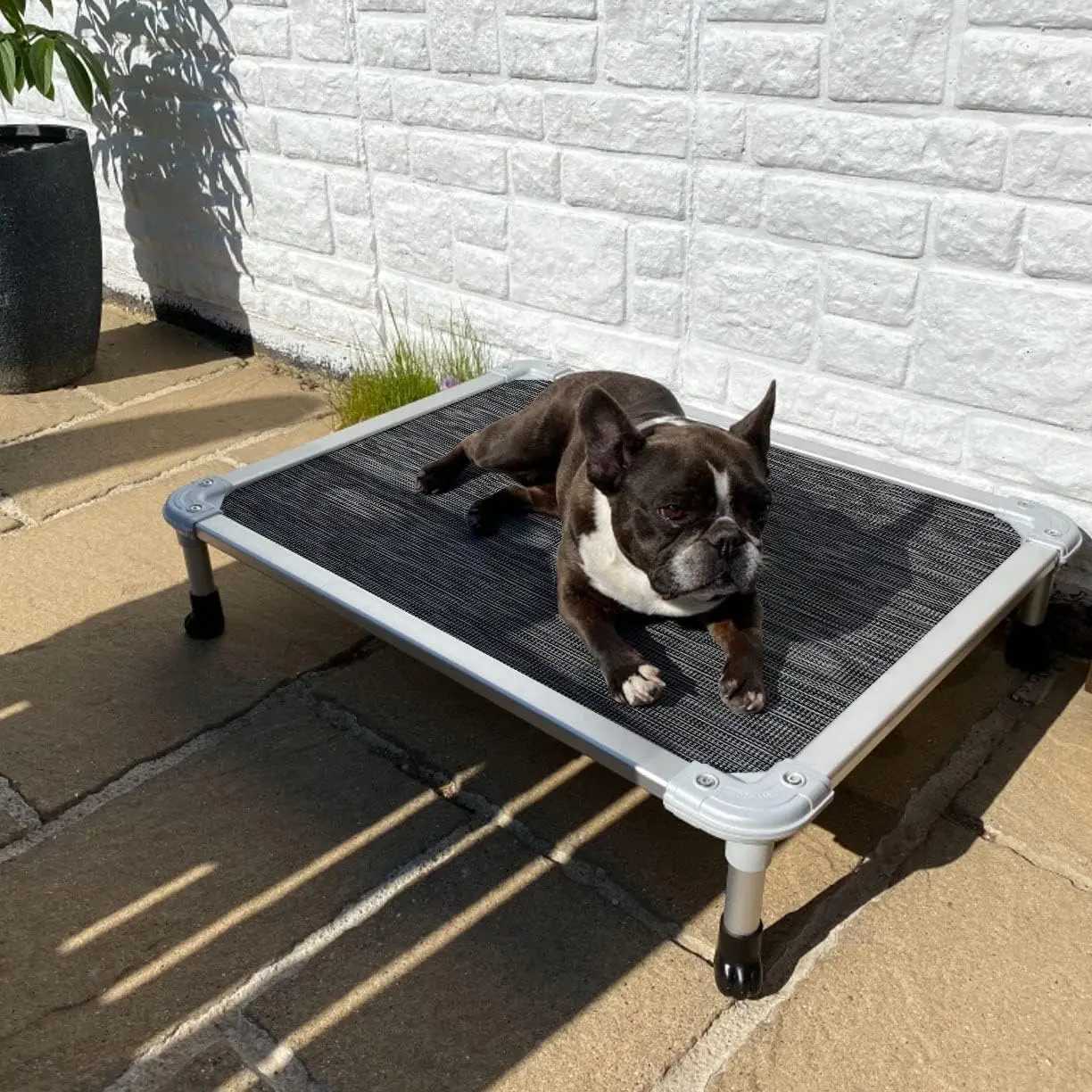 Chewing Elevator Dog Bed - Refrigerated Pet Bed - Silver Aluminum Frame and Durable Textile Mesh Fabric Unique Design X250412