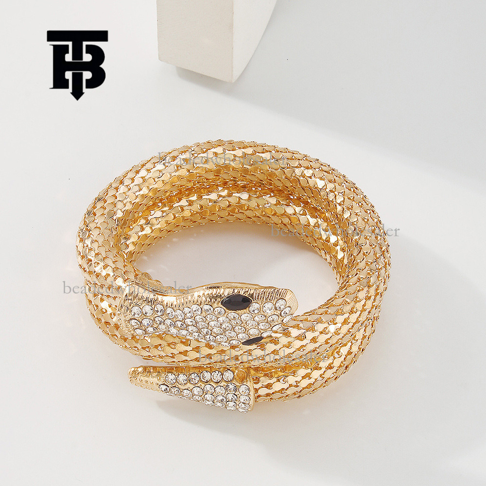 TB BHULAMTE Designer Fashion Exaggerated Serpentine Necklace Punk Personalized Hip Hop Earrings Cool Street Micro Inlaid Diamond Versatile Women'