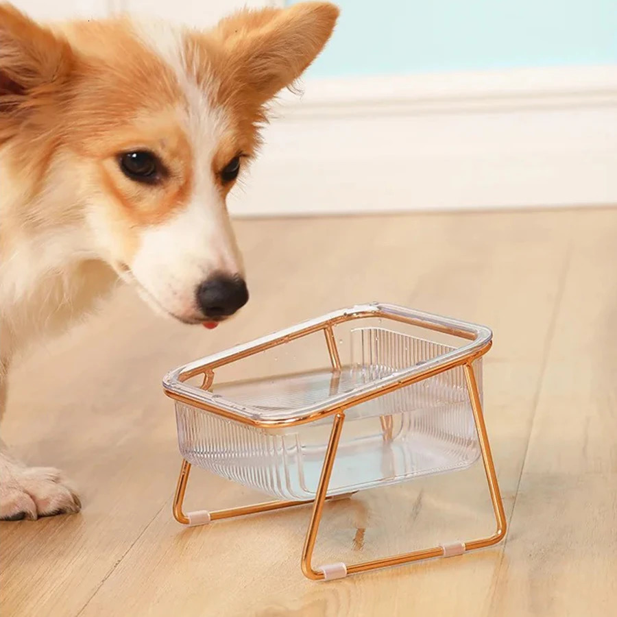 Cat Bowl Transparent Tall Leg Bowl Oblique Neck Protection Drinking Water Cat Grain Bowl Pet Easy to Clean Bowl 250414