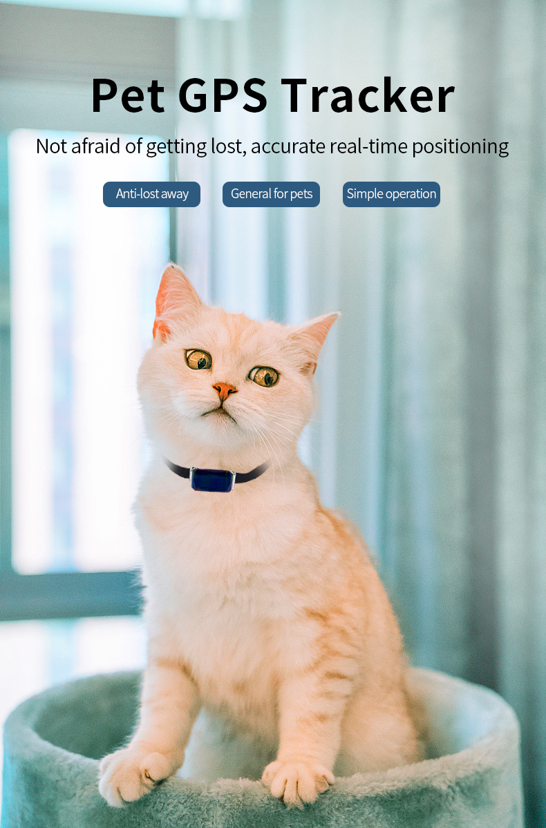 Update Pet Locator GPS Wearable Smart Collar Tracking Waterproof Ip67 Anti-Lost Record Multifunctional For Kids Elderly