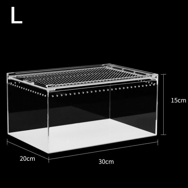 Acrylic Reptile Terrarium, Transparent Habitat for Snakes, Frogs, Turtles, Snails and Beetles, Stylish Small Animal Enclosure