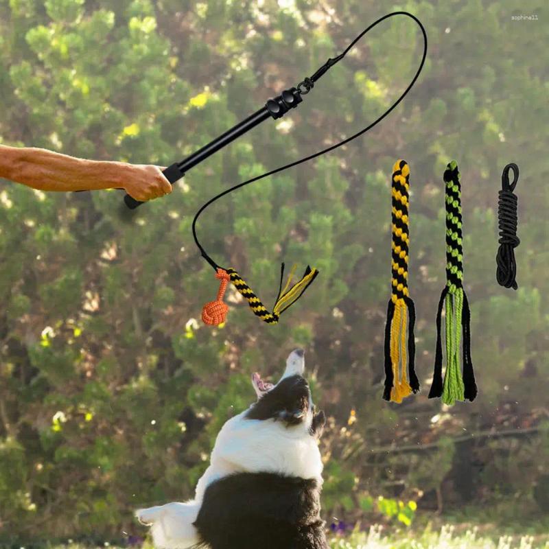 Update Set Retractable Dog Stick Interactive Play Bite Resistant Relieve Stress Dogs Flirt Pole For Daily