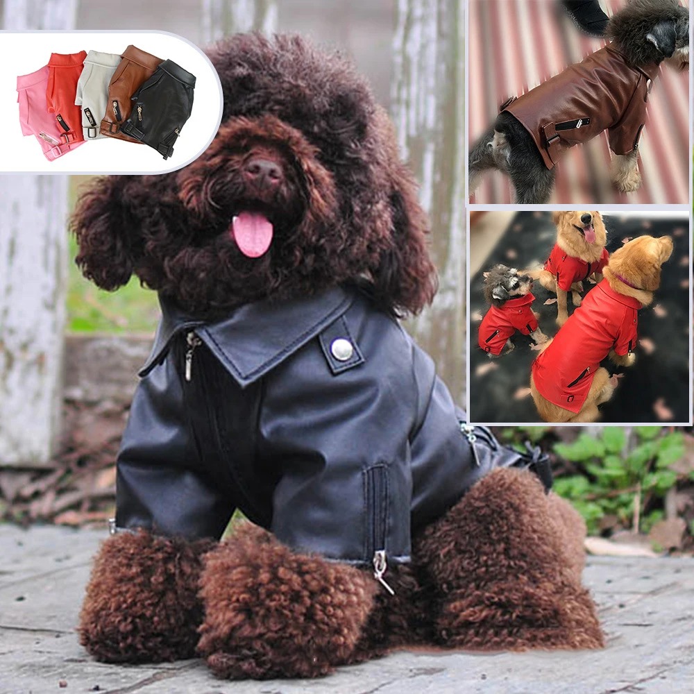 Eagle Embroidered Dog Jacket - Stylish & Warm Pet Coat for Small, Medium and Large Dogs