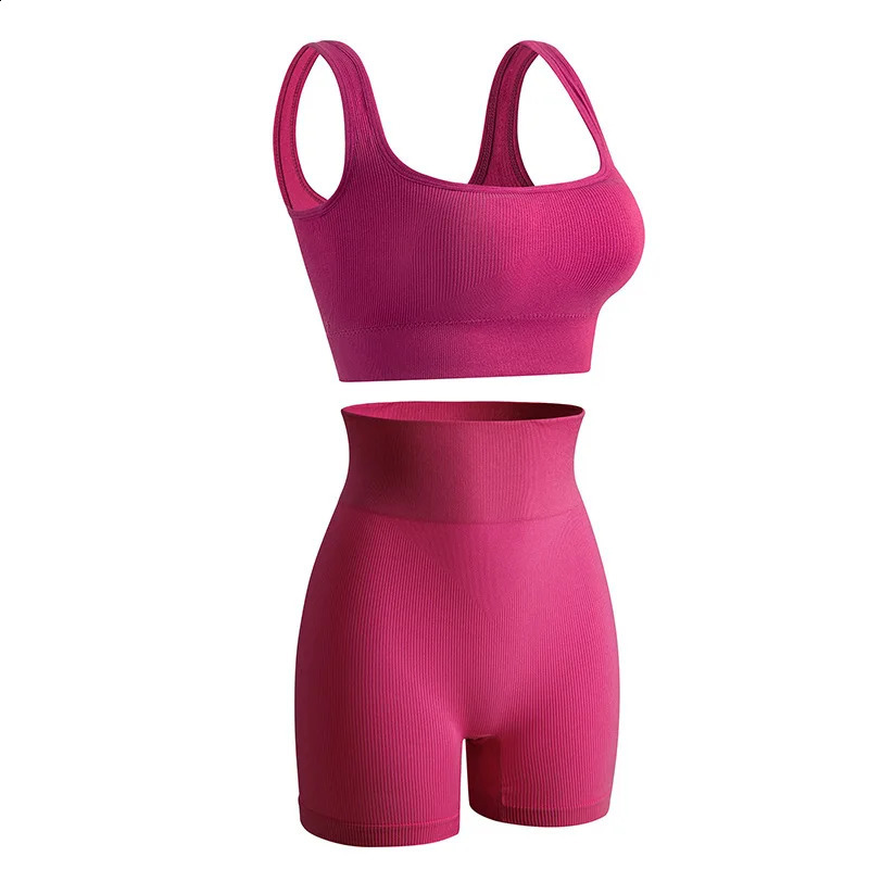 New Arrival Fashion Seamless Exercise Body-Tight Quick Dry Moisture Absorption High Waist Hip Yoga Fitness Set for Women 250414