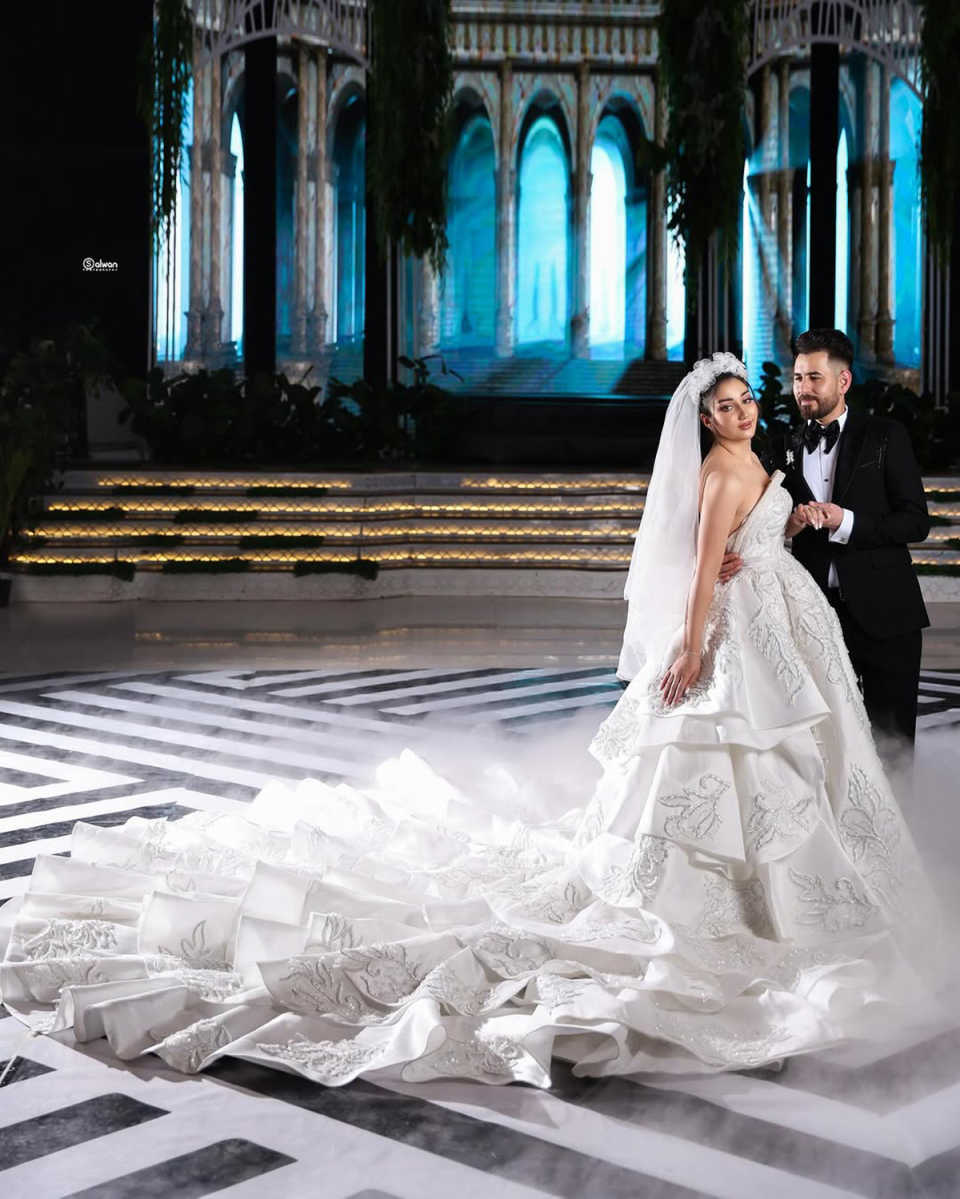 Exquisite Wedding Dresses Ball Gown Beads Appliques Sexy Bridal Gowns Sequins Lace Royal Tail vestidos de fiesta Size Customized Plus Size H25695