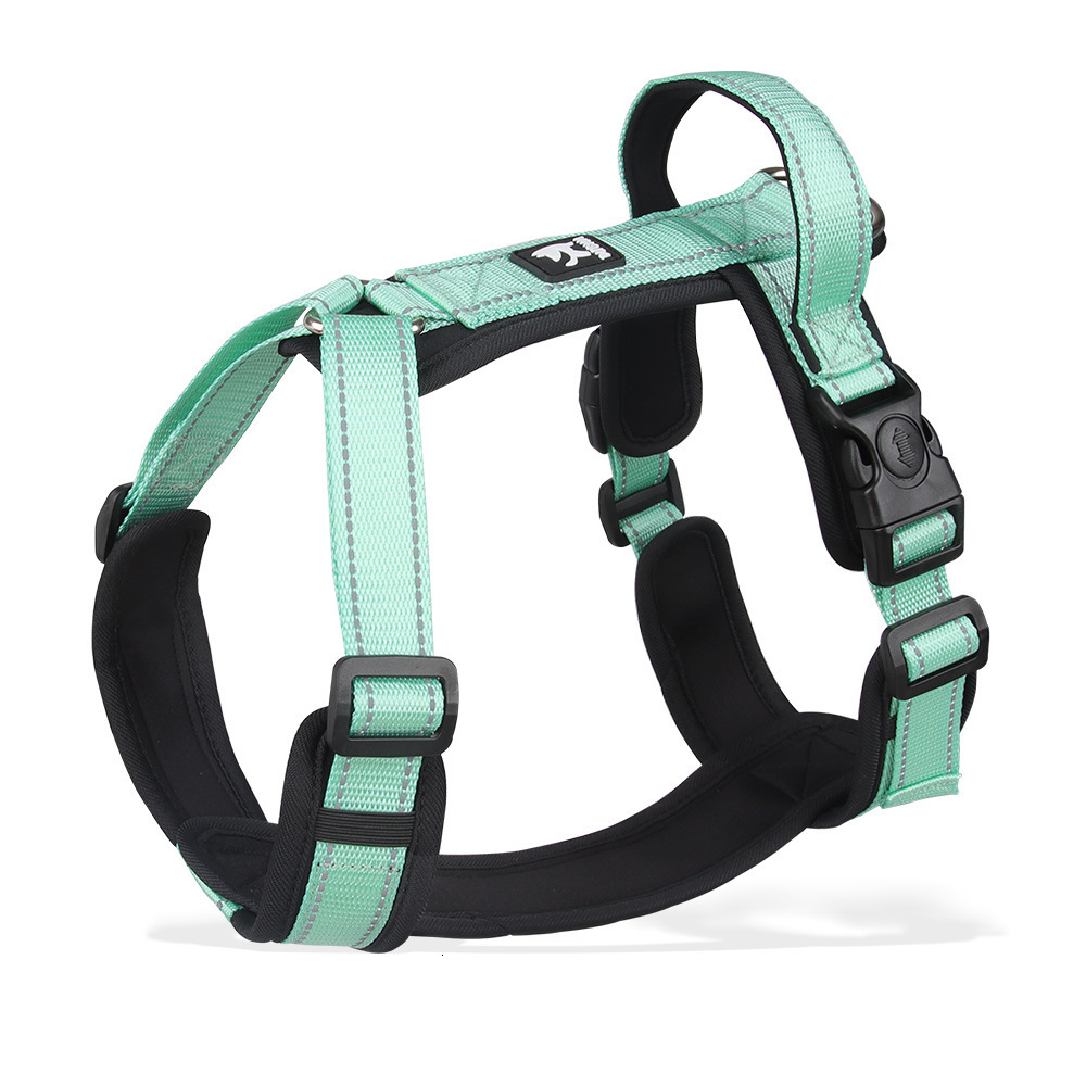 TSPRO Hands Free Dog for Walking Running Safety Car Seat Belt Shock Absorbing Bungee Leash with Padded Handle 240722