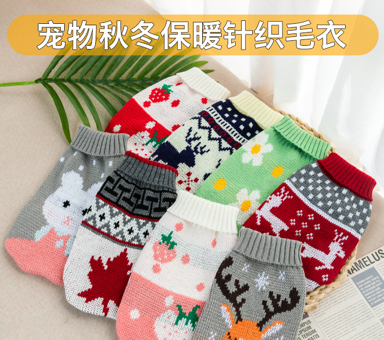 Premium Pet Clothing Collection Featuring Stylish Knitted Jackets