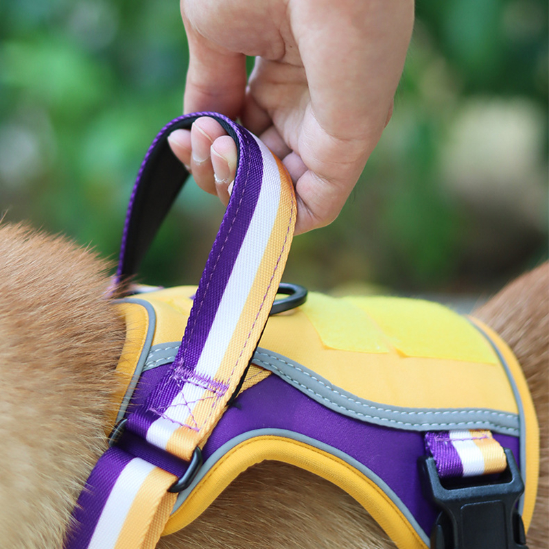 Basketball Style Dog Harness No Pull with 2 Leash Clips, Adjustable Soft Padded, Reflective Oxford No Choke Pet Vest with Easy Control Handle for Larg