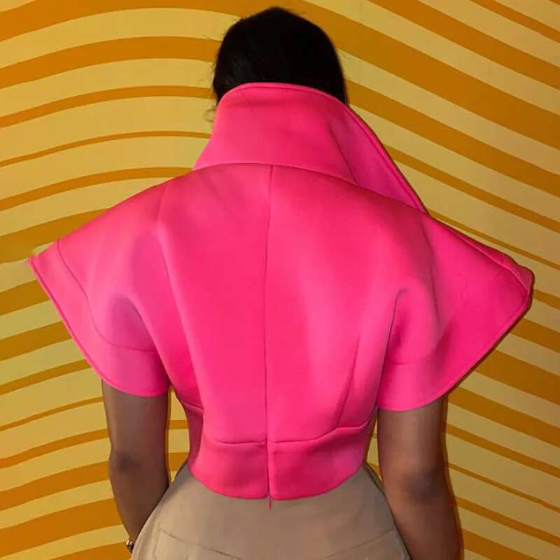 Cropped Puffer Jacket Women 2025 Autumn Fashion Steetwear Outerwear Shoulder Pad Button Up Collar Sleeveless Vest Coat Outfits