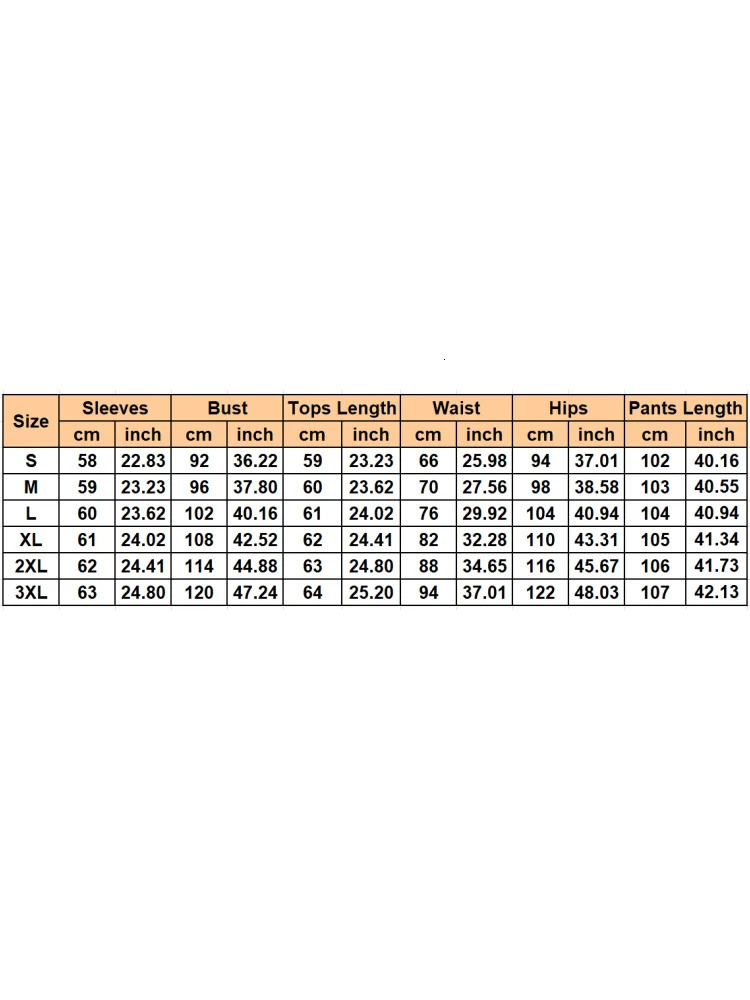 2 Pieces Set Sexy Plus Size Spring Autumn Fashion Women Set Female Tops Long Sleeve Shirt Tops And Pants Suit Matching Outfit 250410