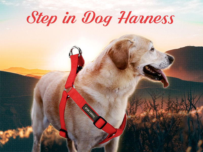 Escape Proof Adjustable Puppy Harness Soft Nylon Webbing Step in Dog Harness for Walking Training Hiking Outdoor