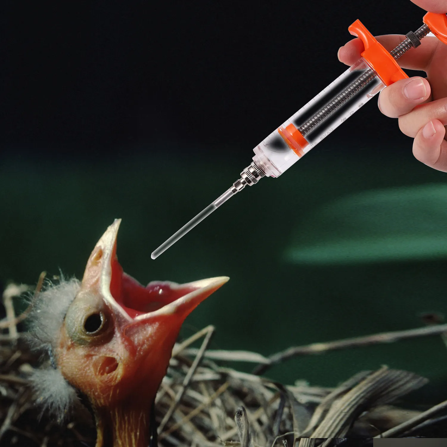 Fledgling Feeding Syringe Manual Feeding Rearing Gavage Silicone Feeding Hose Medication Tube Small Pet Parrot Feeding Syringe LL