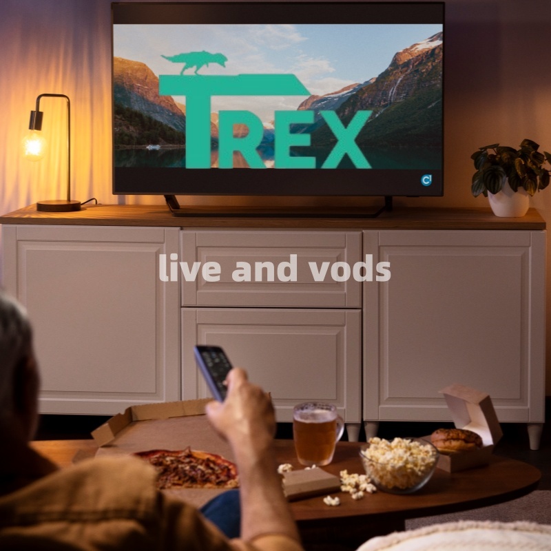 T-rex OTT TV Remote Controller For Android TV Box Smart TV FHD 4K