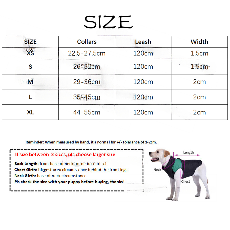 2025 new Two Layers of Leather Dog Collars Leashes Set Classic Printed Designer Pet Leash Soft Durable Cat Collar for Small Medium and Large