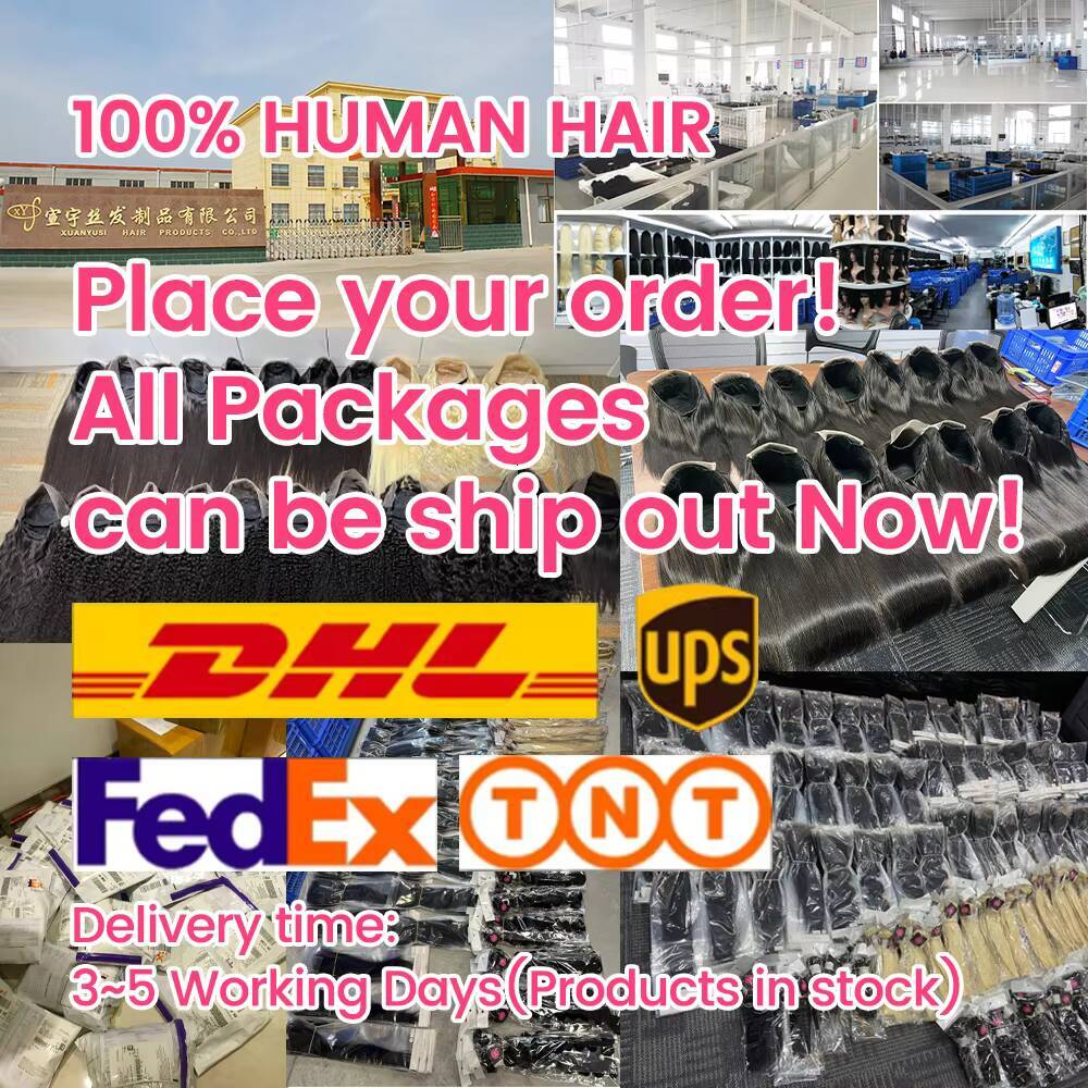 5x5 Burmese Curly Lace Closure Wig Vendors Cheap Closure Lace Vietnamese Raw Human Hair Wigs Pre Plucked HD Lace Front Wig