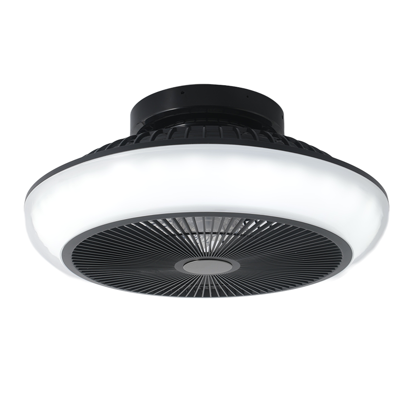 Gentle Wind Ceiling Fan Light Fixture for Bedroom Comfort & Silence-5896