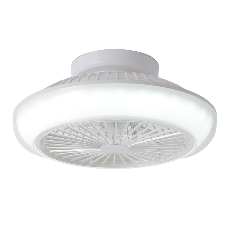 Gentle Wind Ceiling Fan Light Fixture for Bedroom Comfort & Silence-5896