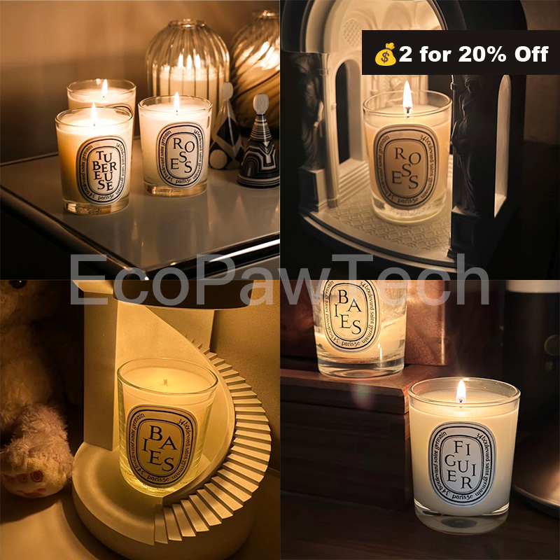 Diptyques Luxury candle Home Decor Diffuser aromatherapy Designer Scent candles Perfume fragrances hight quality Christmas birthday gift romantic Room CP5098