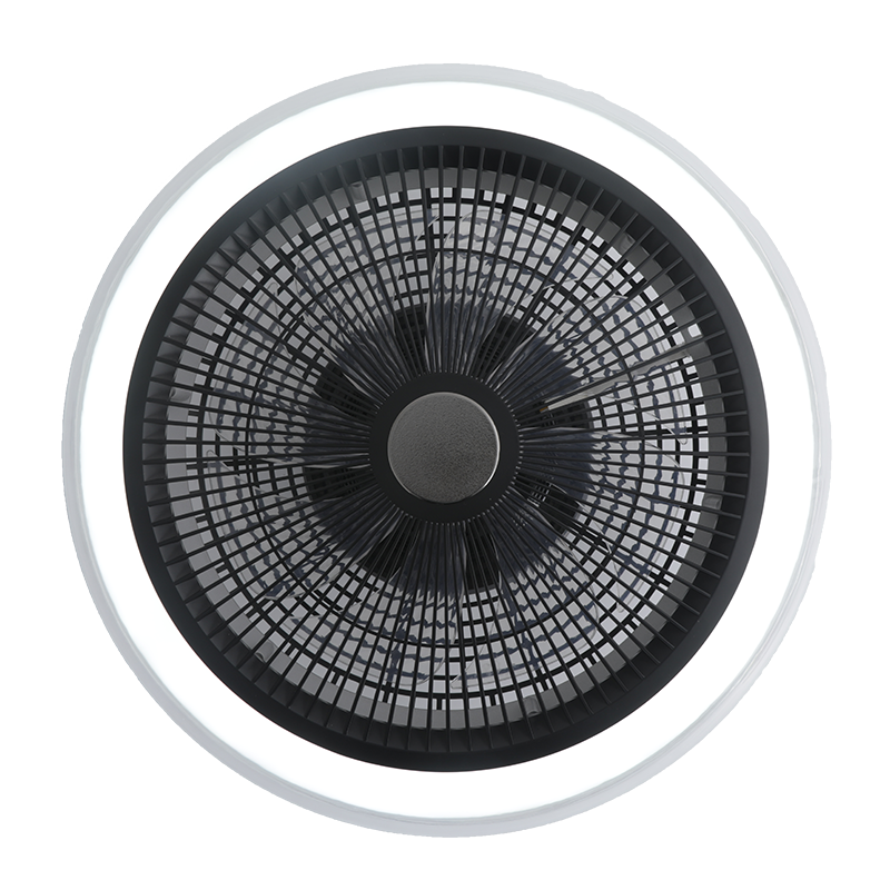 Gentle Wind Ceiling Fan Light Fixture for Bedroom Comfort & Silence-5896