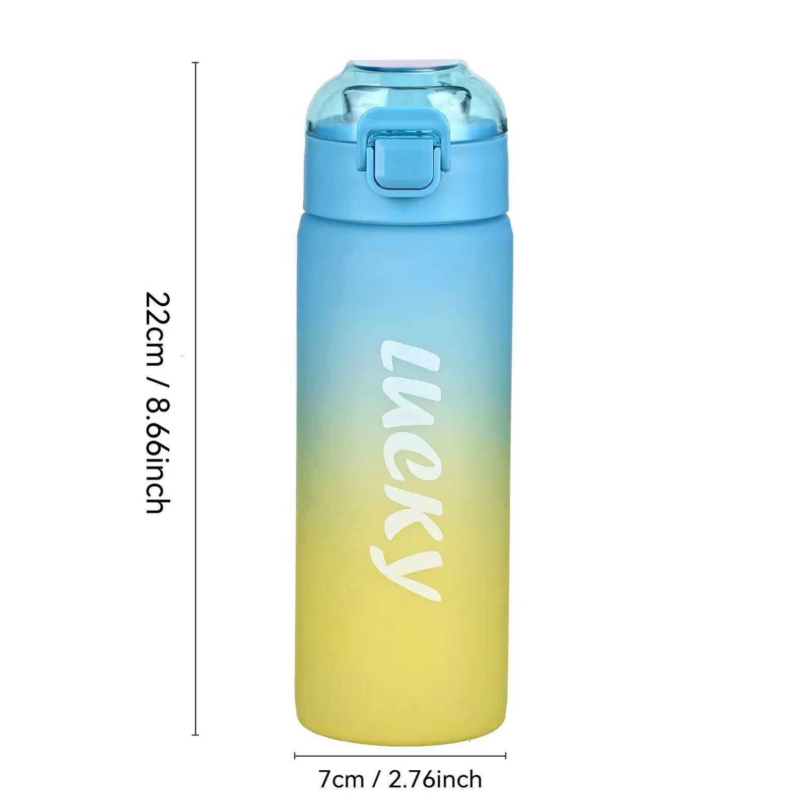 650ml Sports Water Bottle High-grade Frosted Gradient Color Water Cup Outdoor Portable Water Bottle Leak Proof Plastic CupsW251114