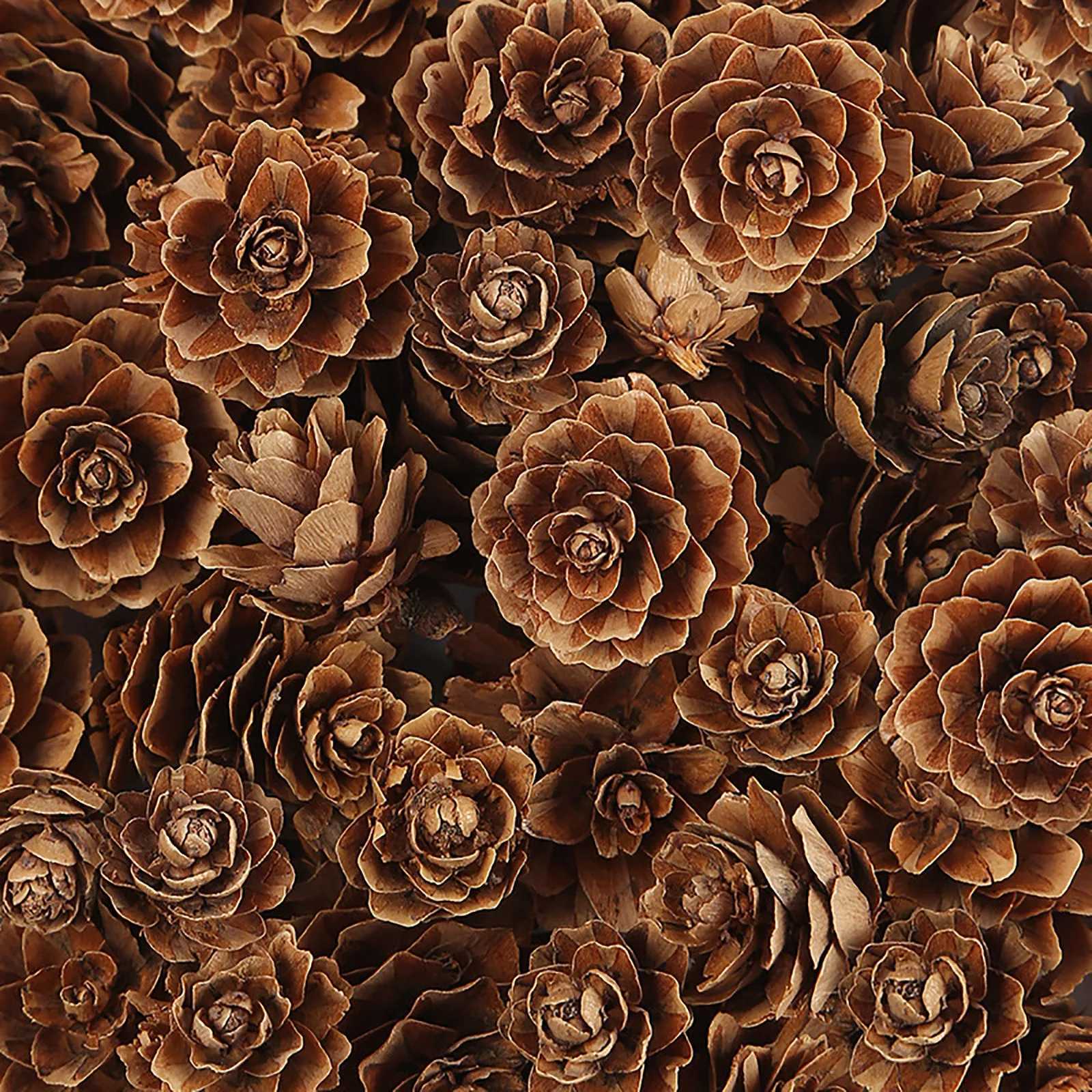 18 Pcs Natural Christmas Rustic Pinecones Fall Garland Halloween Thanksgiving Decorations Christmas Tree Fall OrnamentsM251115