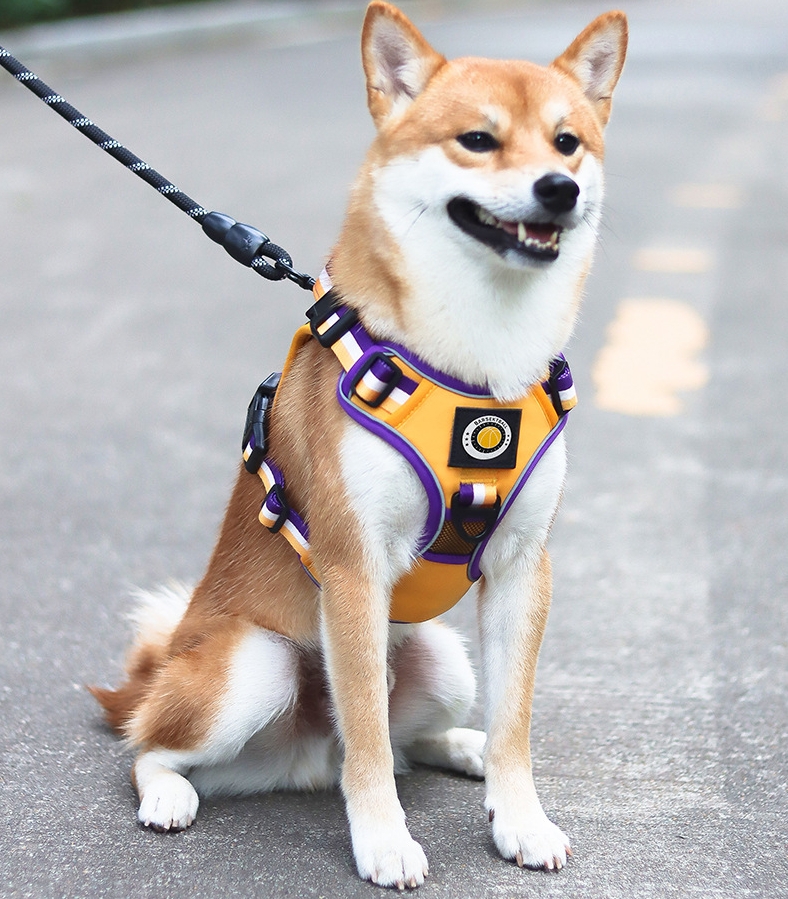 Basketball Style Dog Harness No Pull with 2 Leash Clips, Adjustable Soft Padded, Reflective Oxford No Choke Pet Vest with Easy Control Handle for Larg