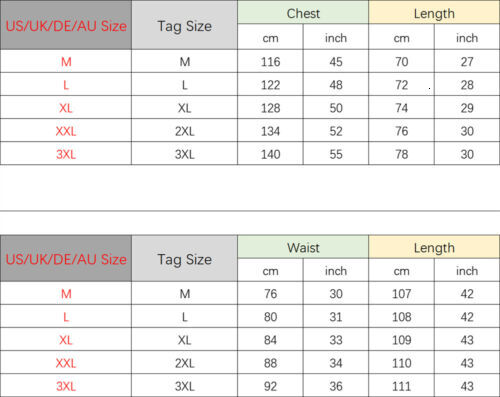 Piece Mens 2 Sweatsuits Sport Set Tracksuit Jogger Sweatshirt Pants Suits Outfit