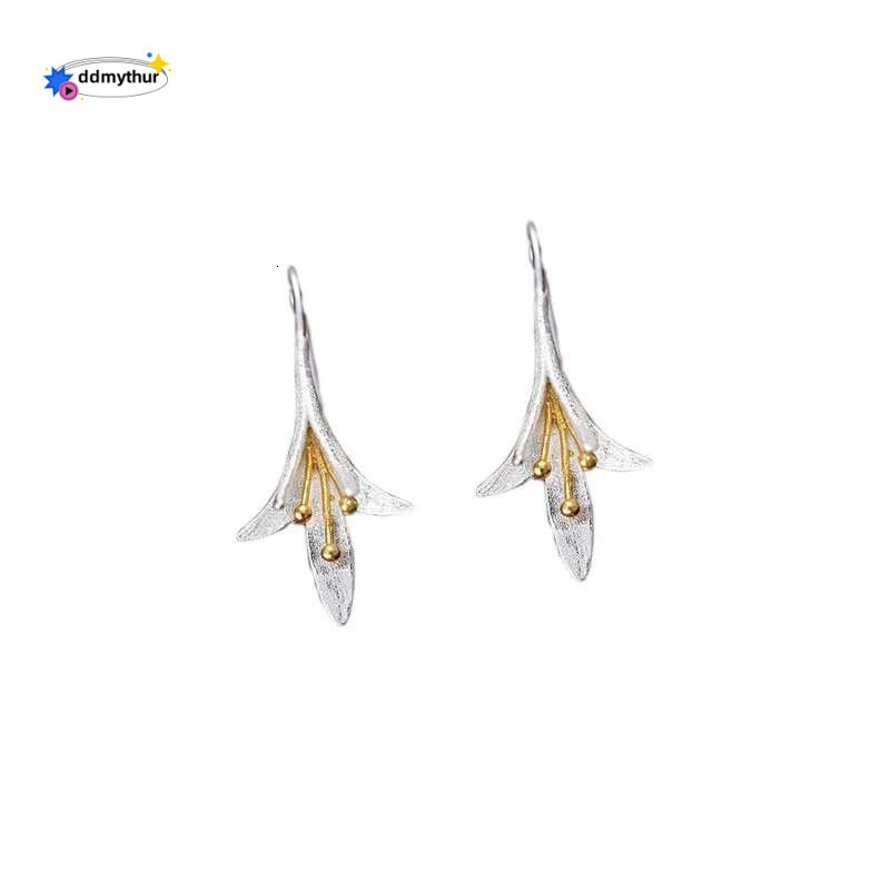 sterg sier Long wer Earrings For Women Elegant Lady Prevent Allergy New Design Fashion Jewelry ddmythur