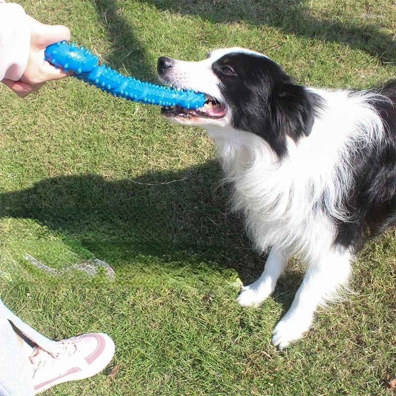 Update Pet Dog Chew Toys Pull Ring Bone Bite Resistant Molar Toothbrush Small Medium Large Dogs Training Interactive Supplies