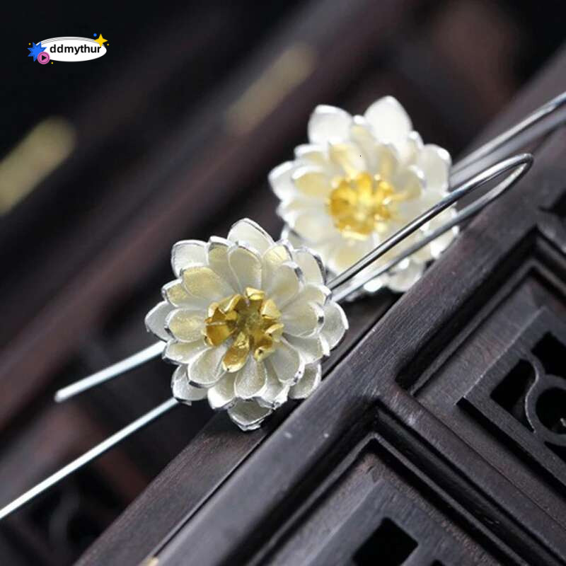 sterg sier Long wer Earrings For Women Elegant Lady Prevent Allergy New Design Fashion Jewelry ddmythur