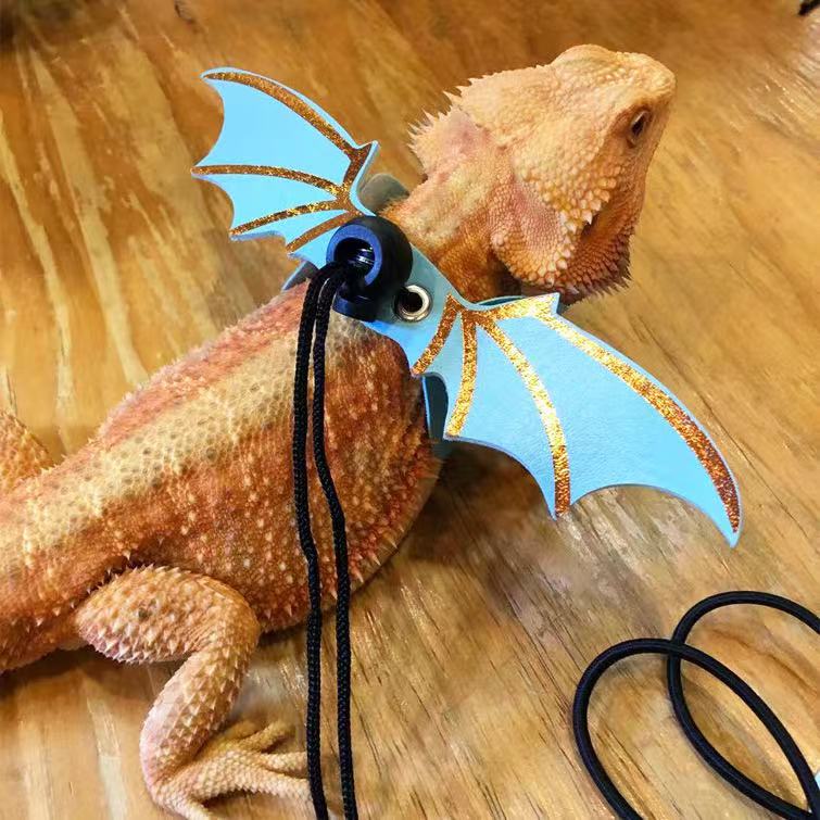 Set of three: Little crocodile lizard costume for outings, devilish attire, leash with wings, and climbing pet crocodile outfit.