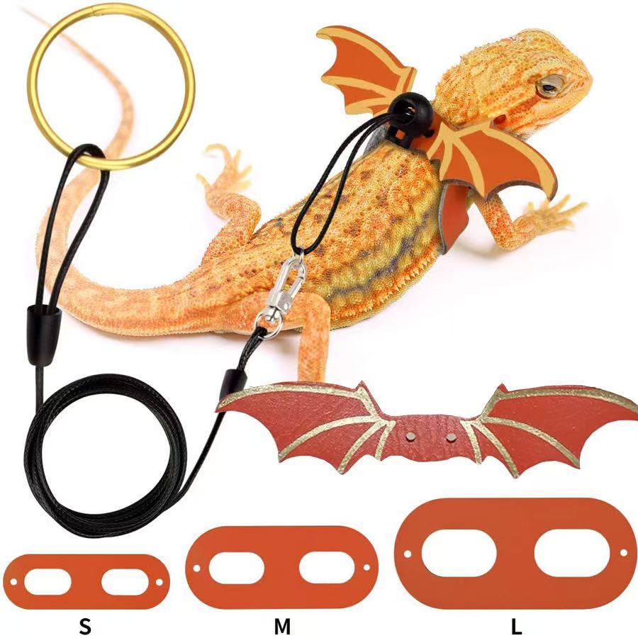 Set of three: Little crocodile lizard costume for outings, devilish attire, leash with wings, and climbing pet crocodile outfit.