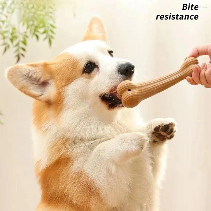 Update Bite Resistant Pet Dog Chew Toys Molar Teeth Clean Stick Interesting Pine Wood Cute Bone Shape Durable For Accessories