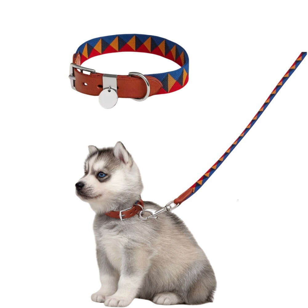 Designer Luxury Orange-yellow Pet For Dogs Genuine Leather Social Style Party Puppy Collar Colorful Triangle