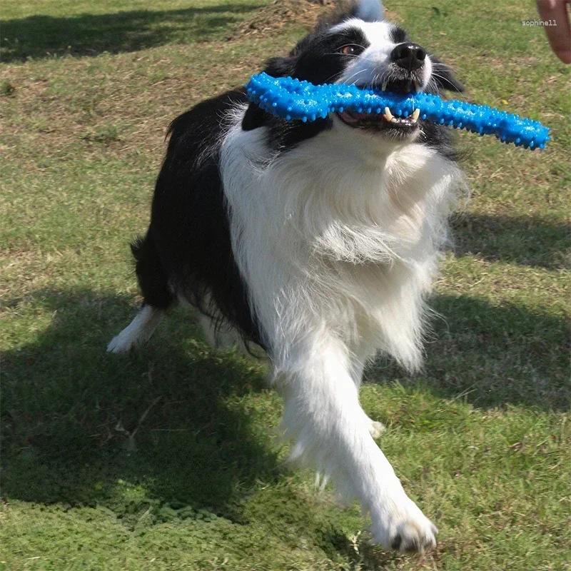 Update Pet Dog Chew Toys Pull Ring Bone Bite Resistant Molar Toothbrush Small Medium Large Dogs Training Interactive Supplies