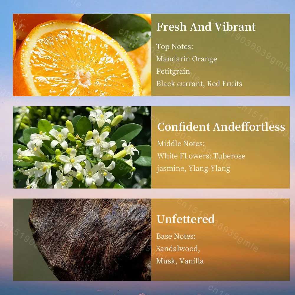 50/100Ml Lady Elegant Perfume Citrus note Floral Fruity Fragrance Long-Lasting Fragrance Charming Romantic Pheromone SprayW251117