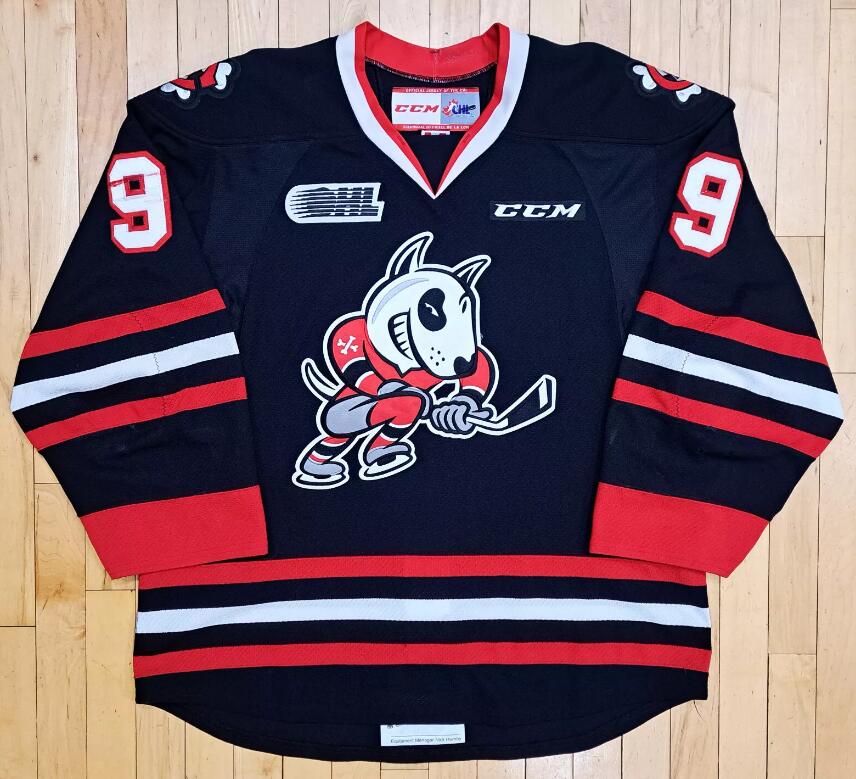 Personalized Customized CCM Ivan Lodnia OHL Niagara IceDogs Alternate CHL Hockey Jersey
