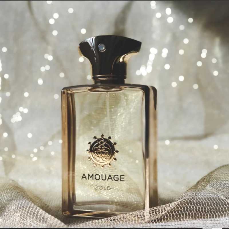 100ml Mens Woody Perfume Collection Long Lasting Spicy Oriental Oud Floral Luxury Premium Fragrance 10 Unique Signature ScentsW251117